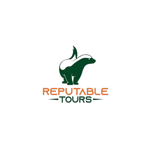 reputabletours.com favicon