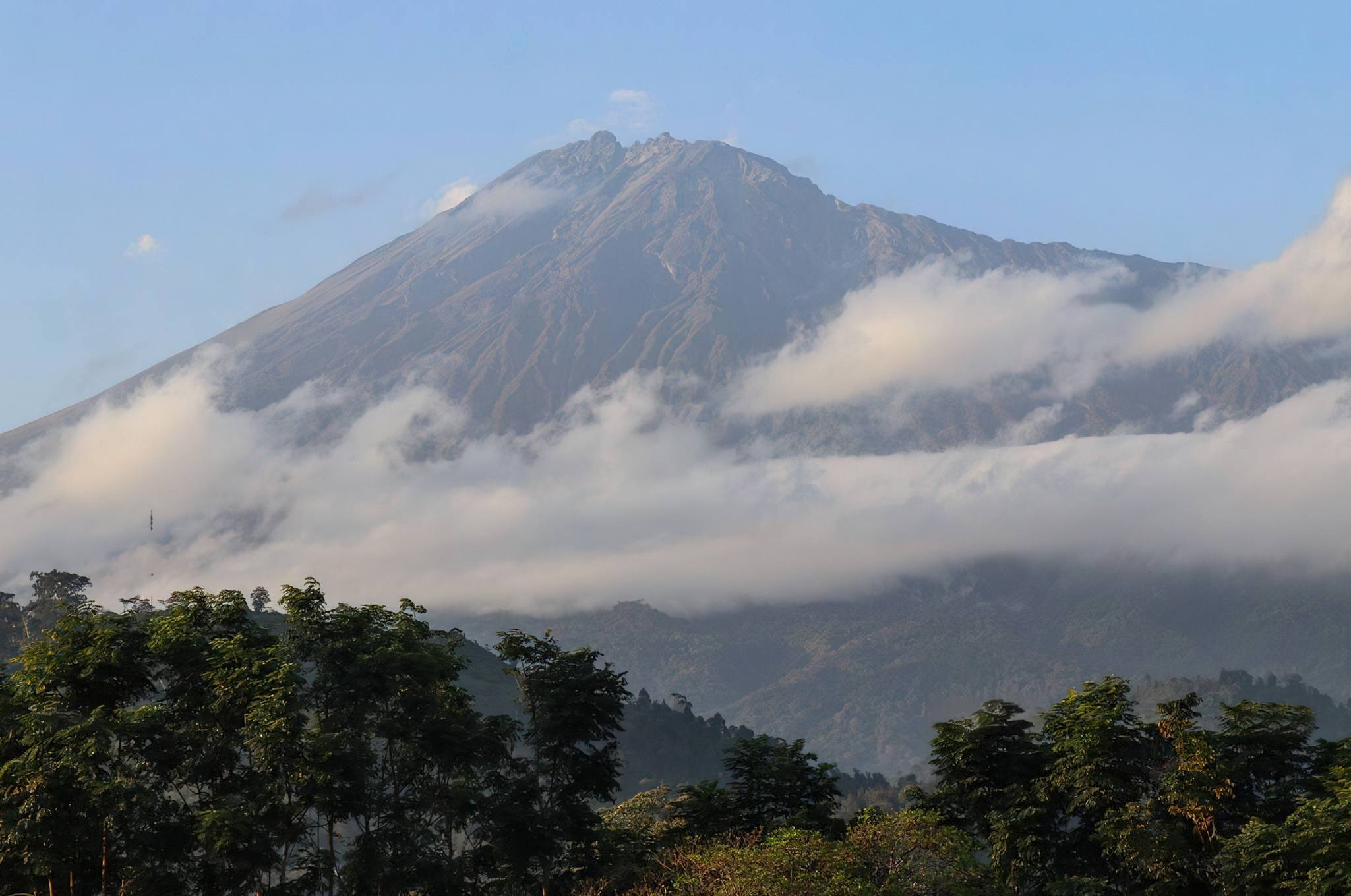 Mount Meru Forest Walking Safari