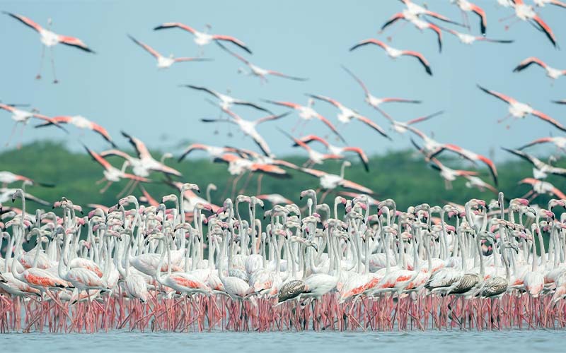 Lake Manyara National Park