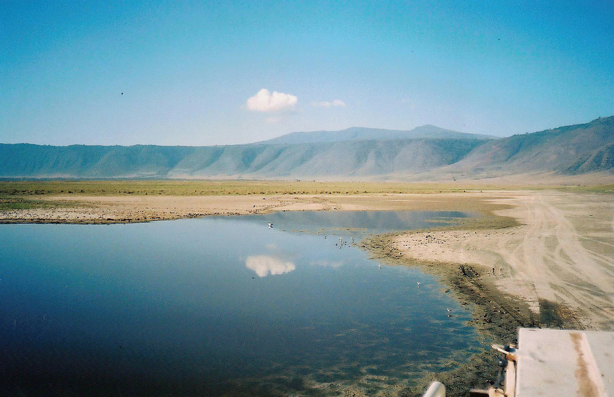 Bird Watching Tanzania