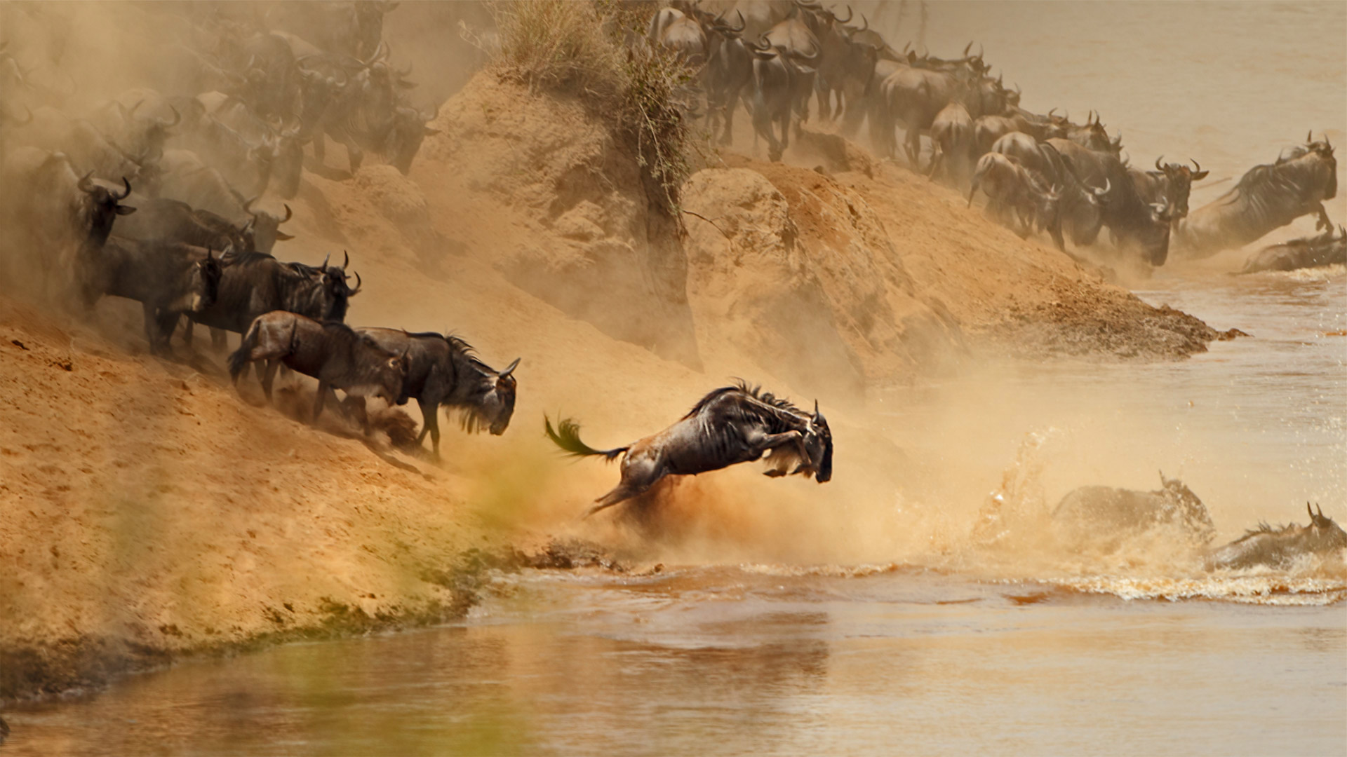 Serengeti National Park