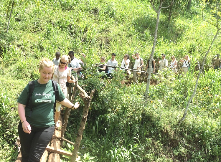 Guided Bush Walking Safaris