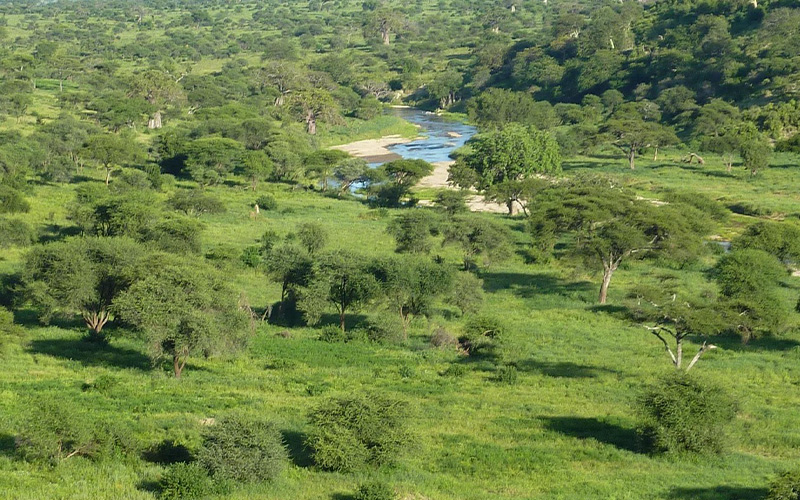 Tarangire National Park