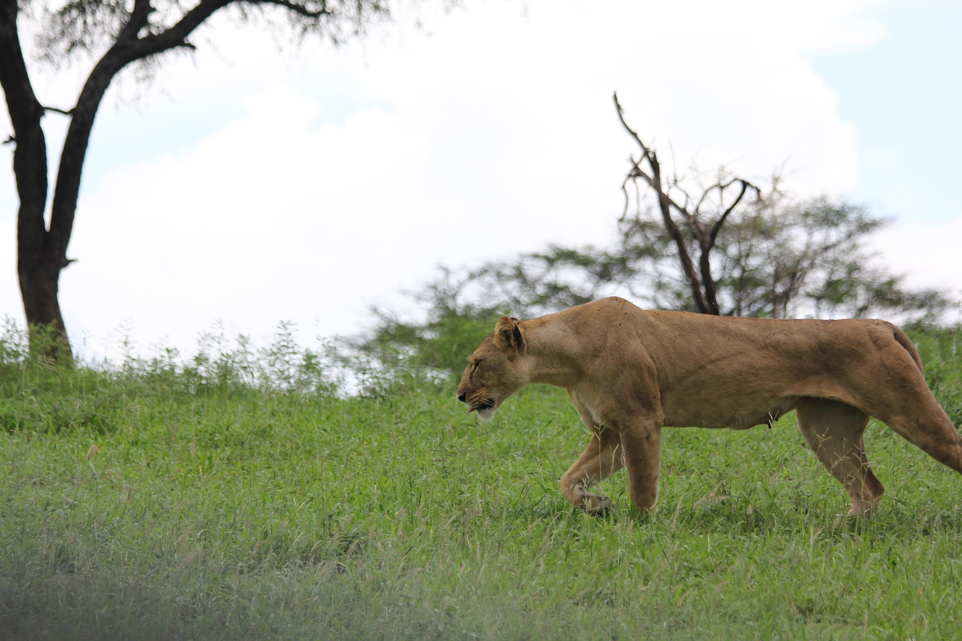 Katavi National Park