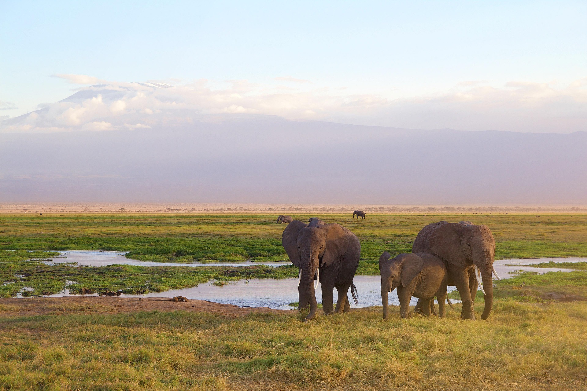 Selous Game Reserve