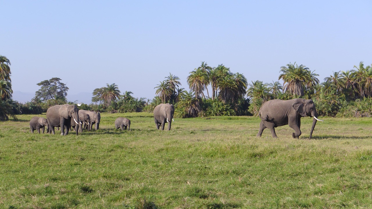 Arusha National Park