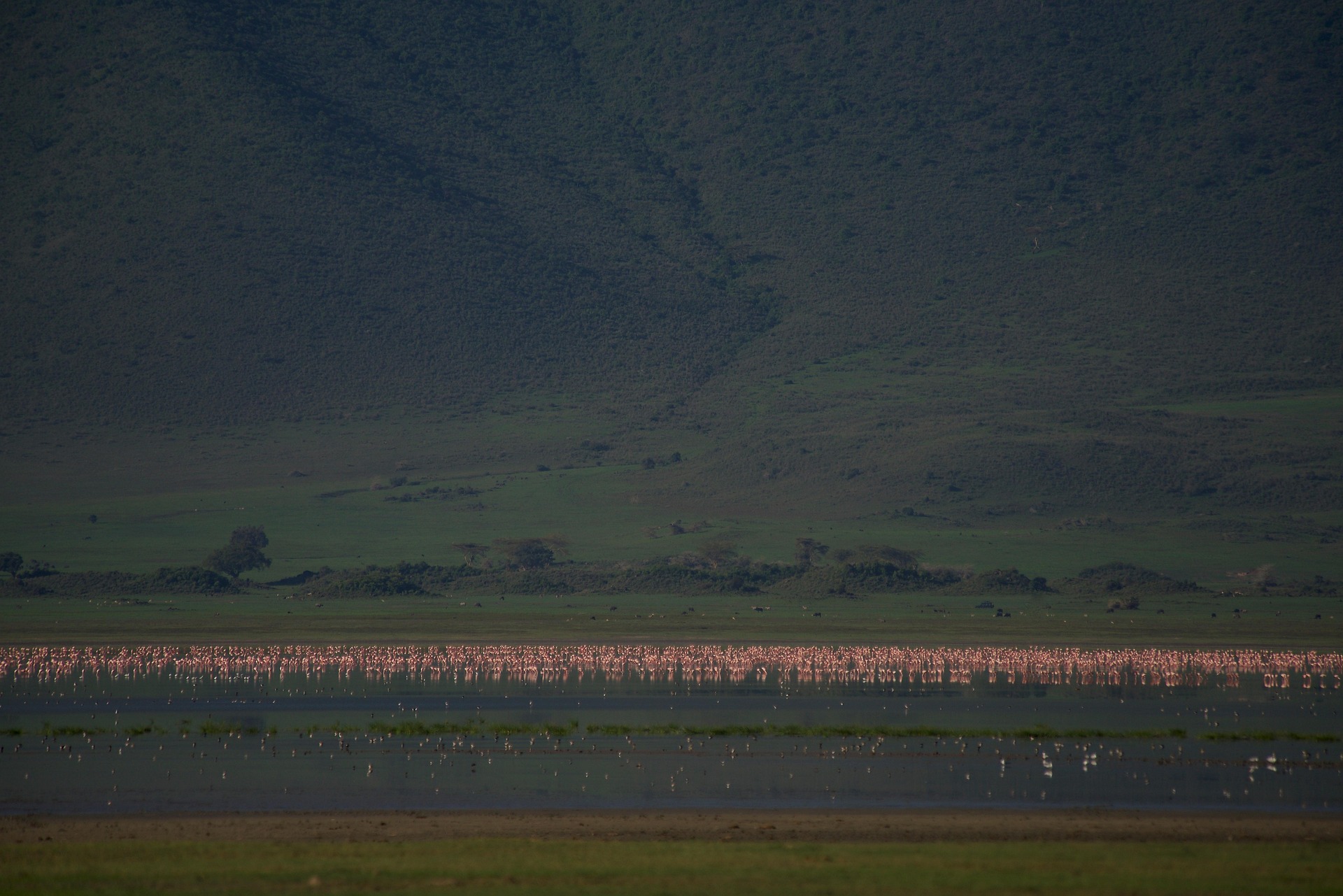 Arusha National Park