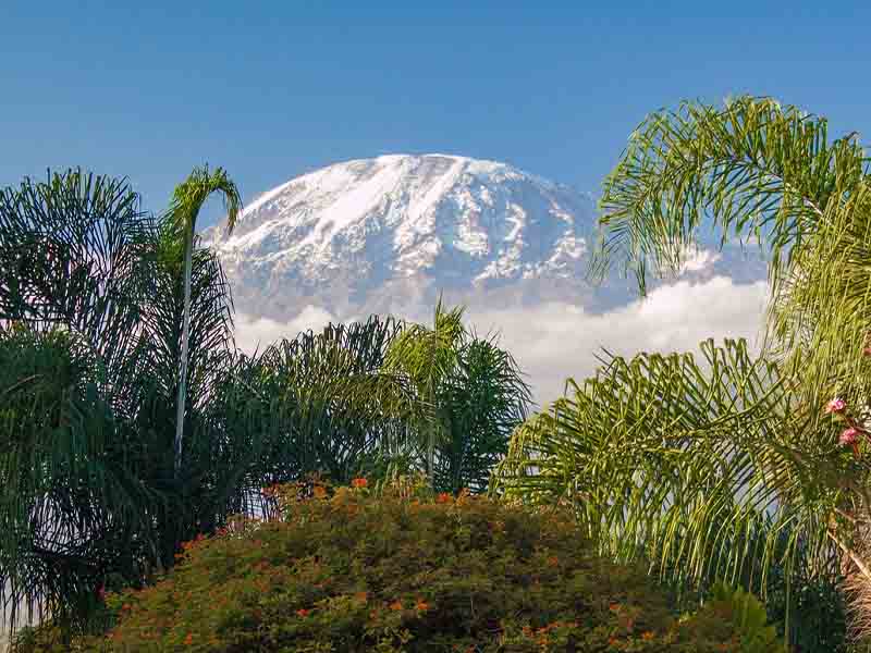Lemosho Route Mount Kilimanjaro