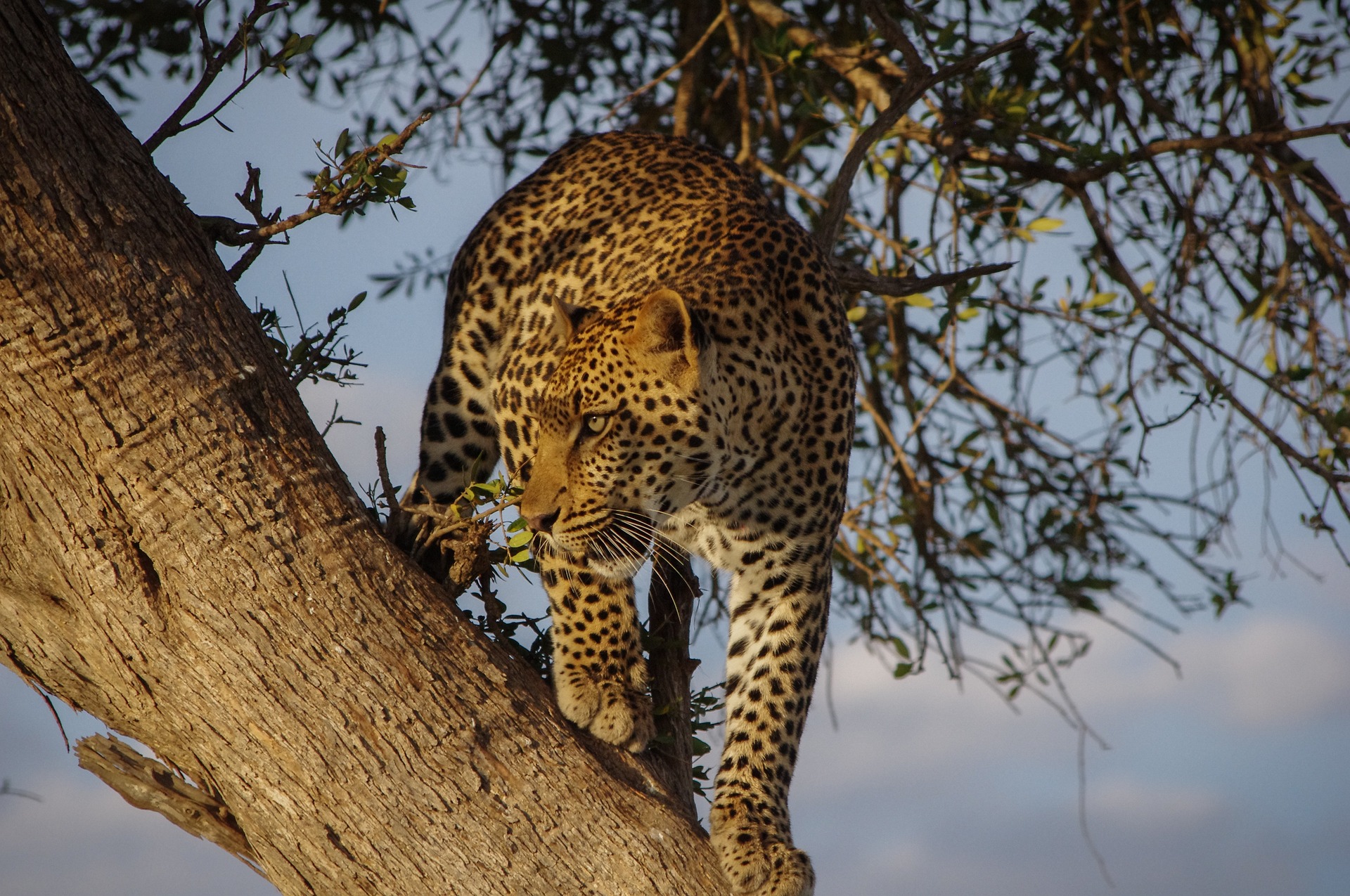 Arusha National Park
